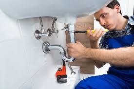 Best Garbage Disposal Repair and Installation  in Flemington, GA